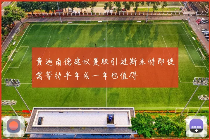 费迪南德建议曼联引进斯米特即使需等待半年或一年也值得